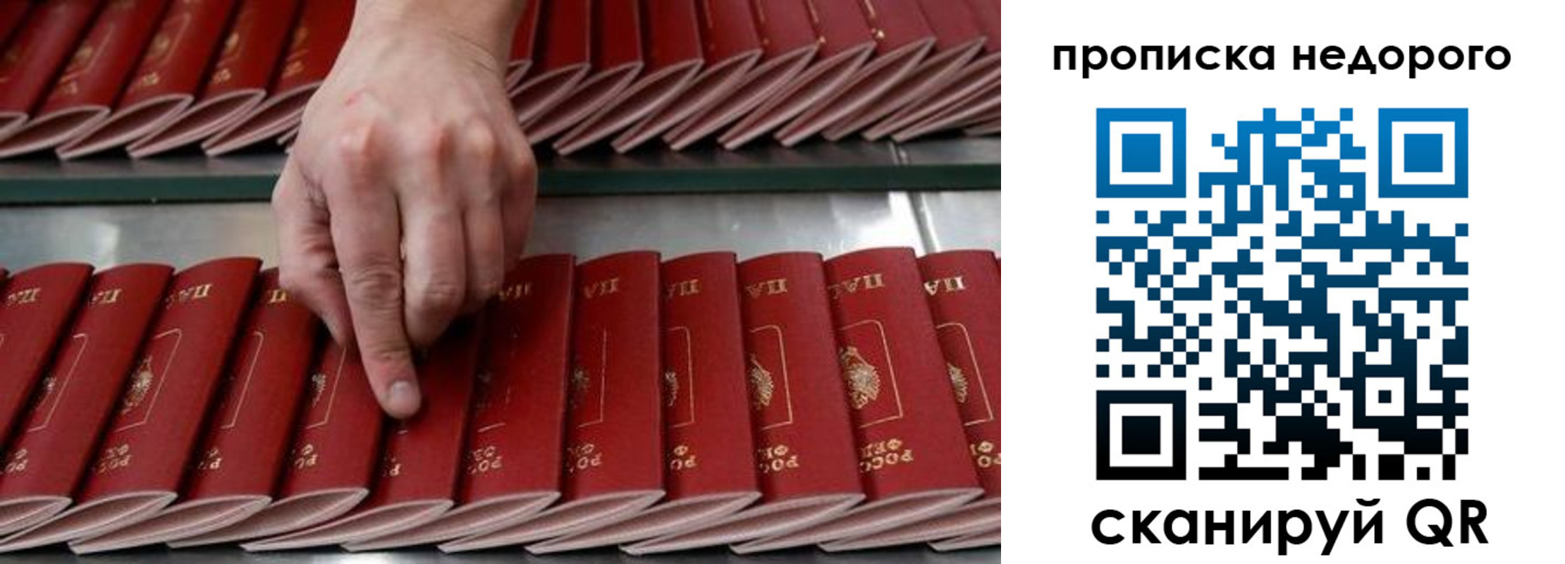 прописка регистрация в Краснозаводске